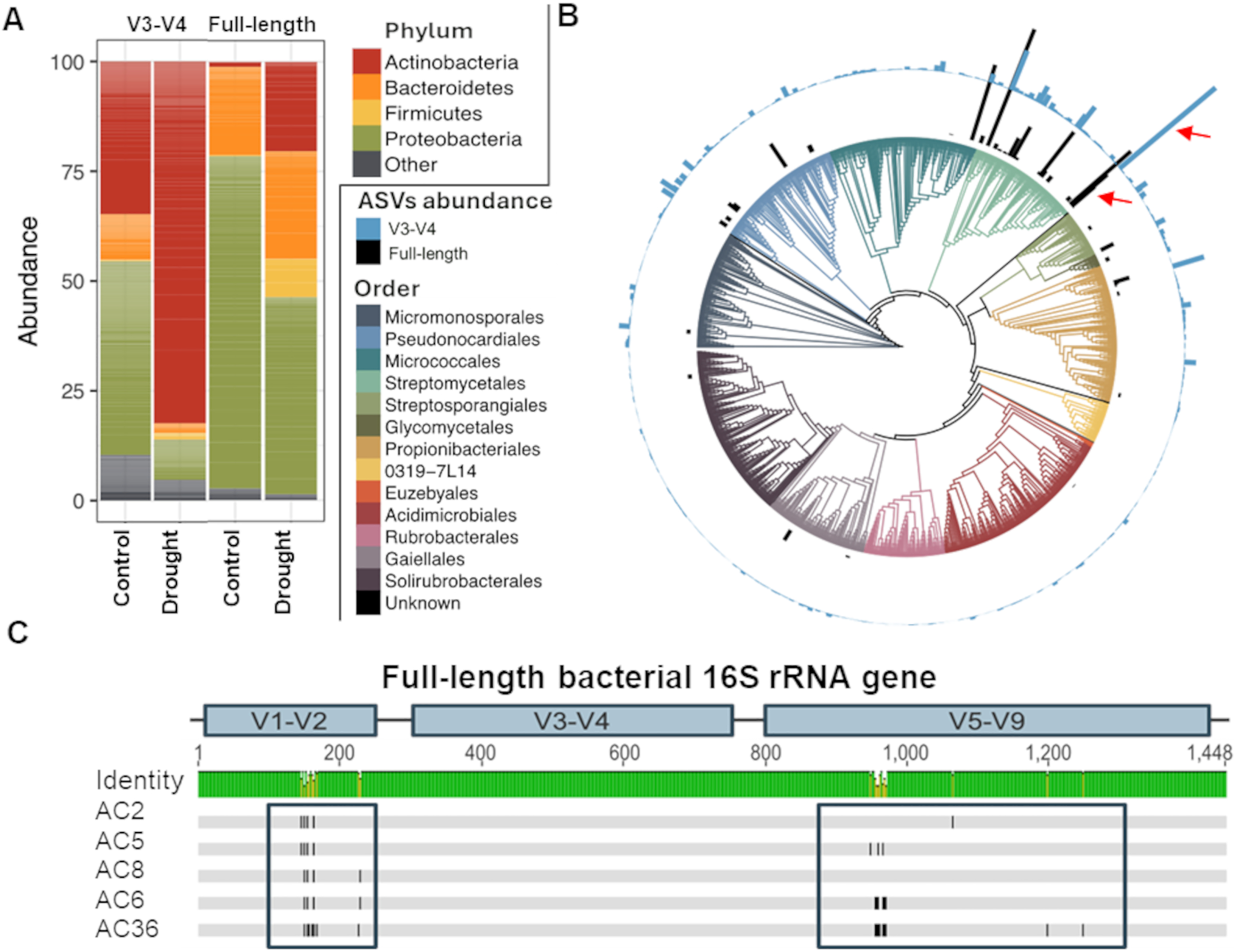 Main figure from the PLOS Biology Streptomyces drought-enrichment paper.